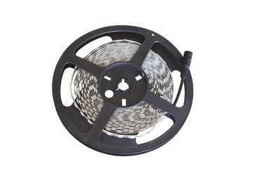 LED riba komplekt B-Light LED360 SMD5050 5m IP20 3000K