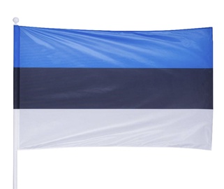 VALSTS KAROGS 105X165CM BIEZS