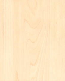 Seinapaneel MDF Arktik Birke 6x198x1192mm