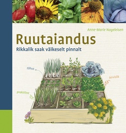 Ruutaiandus. Rikkalik saak väikeselt pinnalt