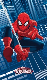 dvielis Spiderman SPIDERMAN 042311