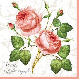 SALVETES SLOG 003101 33X33CM 3SL 20GAB