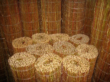PĪTS PAKLĀJIŅŠ, 3X1,0M
