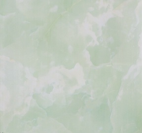 PLASTIKINĖ DAILYLENTĖ „ES08.19 JADE“