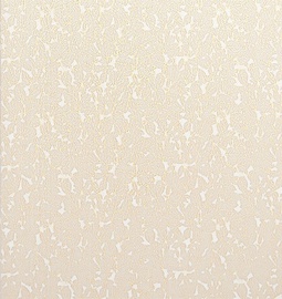 PLASTIKINĖ DAILYLENTĖ „D06.24 VELOURS“