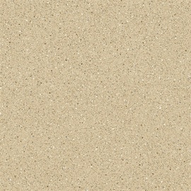 PVC põrandakate Strong 170 L 3m