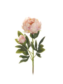 MĀKSLĪGIE ZIEDI PEONIJA 66 CM. 80-283931