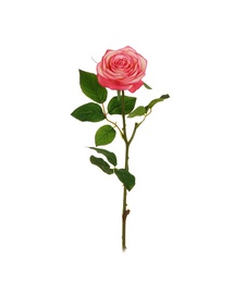 MĀKSLĪGO ZIEDU ROSE 65CM 80-288189