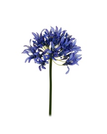 MĀKSLĪGO ZIEDU 85 CM. 80-289728