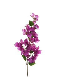 MĀKSLĪGO ZIEDU 79CM 80-294227