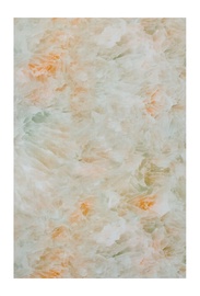 PLASTIKINĖ DAILYLENTĖ „D06.19 ONYX“
