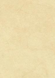 SEINAPANEEL DECOR 44 580X2700 /6,26M2