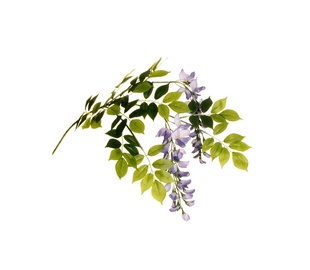 MĀKSLĪGĀ PUĶE 64CM 80-237309