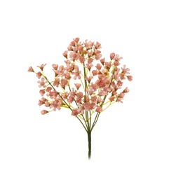 MĀKSLĪGĀ PUĶE 32CM 80-282590