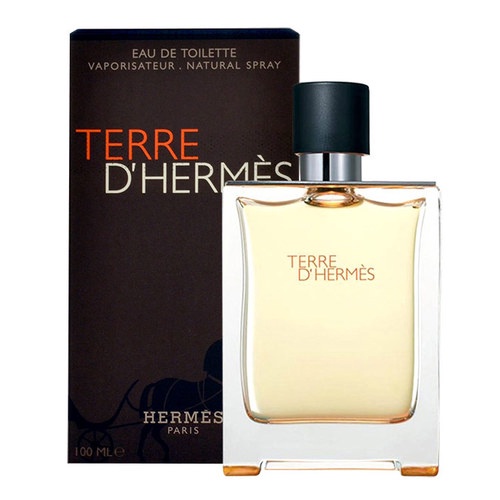 hermes terre price