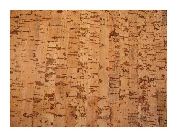 Cork sienu segumi hacienda silver 30x60 (Corksribas)